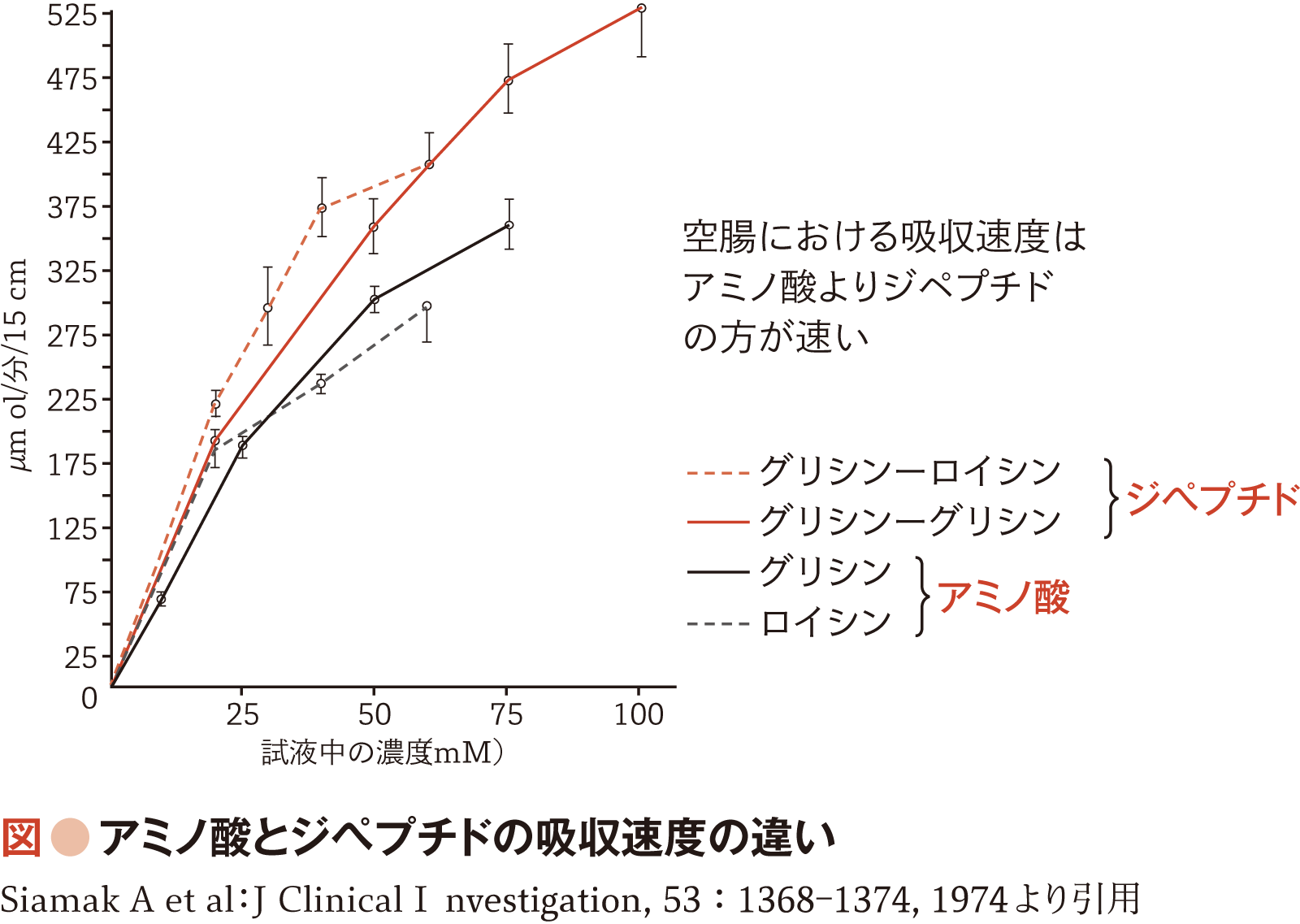 図：アミノ酸とジペプチドの吸収速度の違い