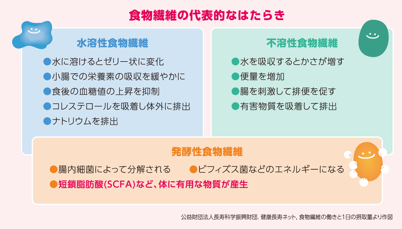 食物繊維の代表的なはたらき