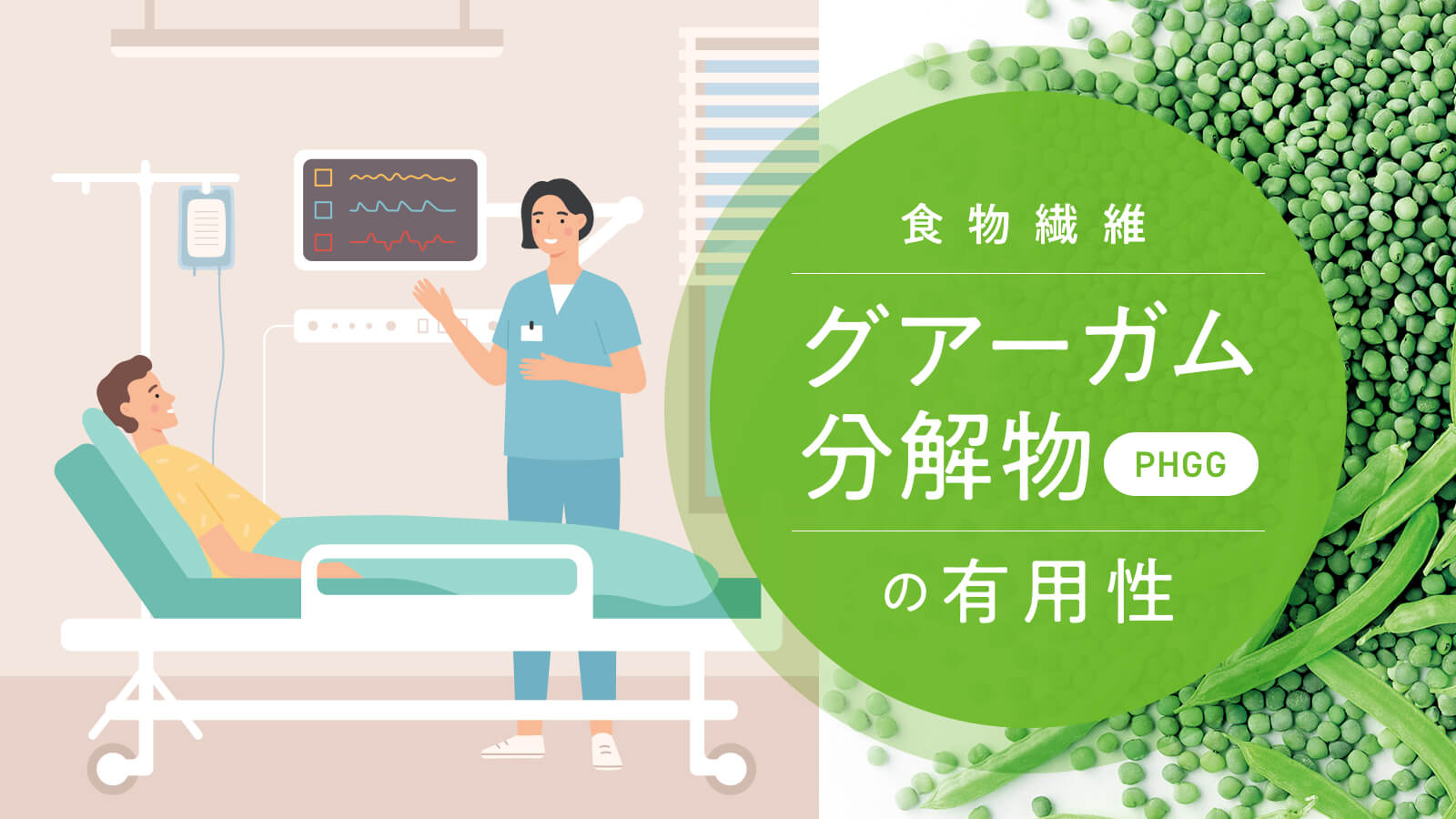 食物繊維「グアーガム分解物（PHGG）」の有用性