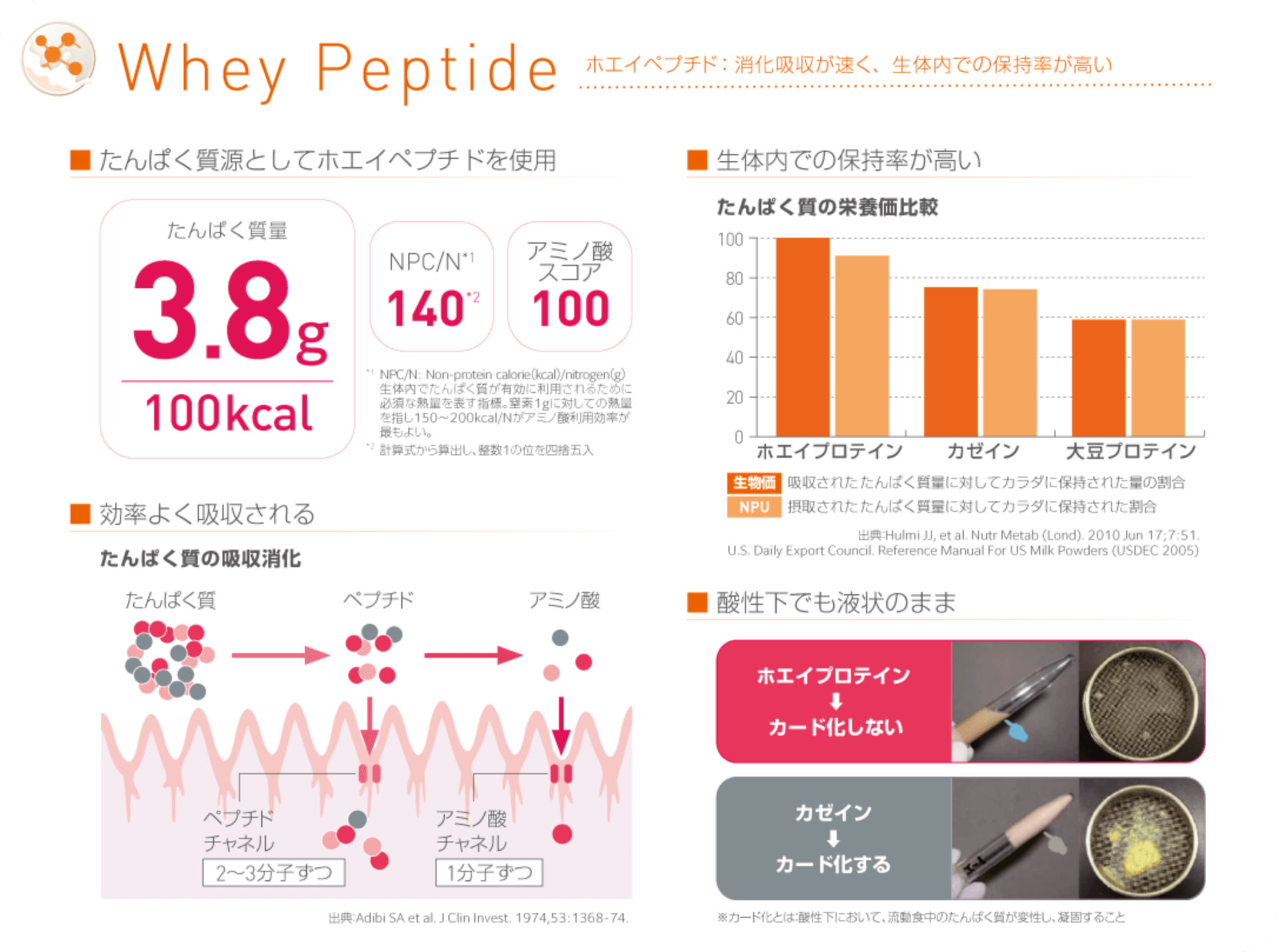 ホエイペプチド：消化吸収が速く、生体内での保持率が高い