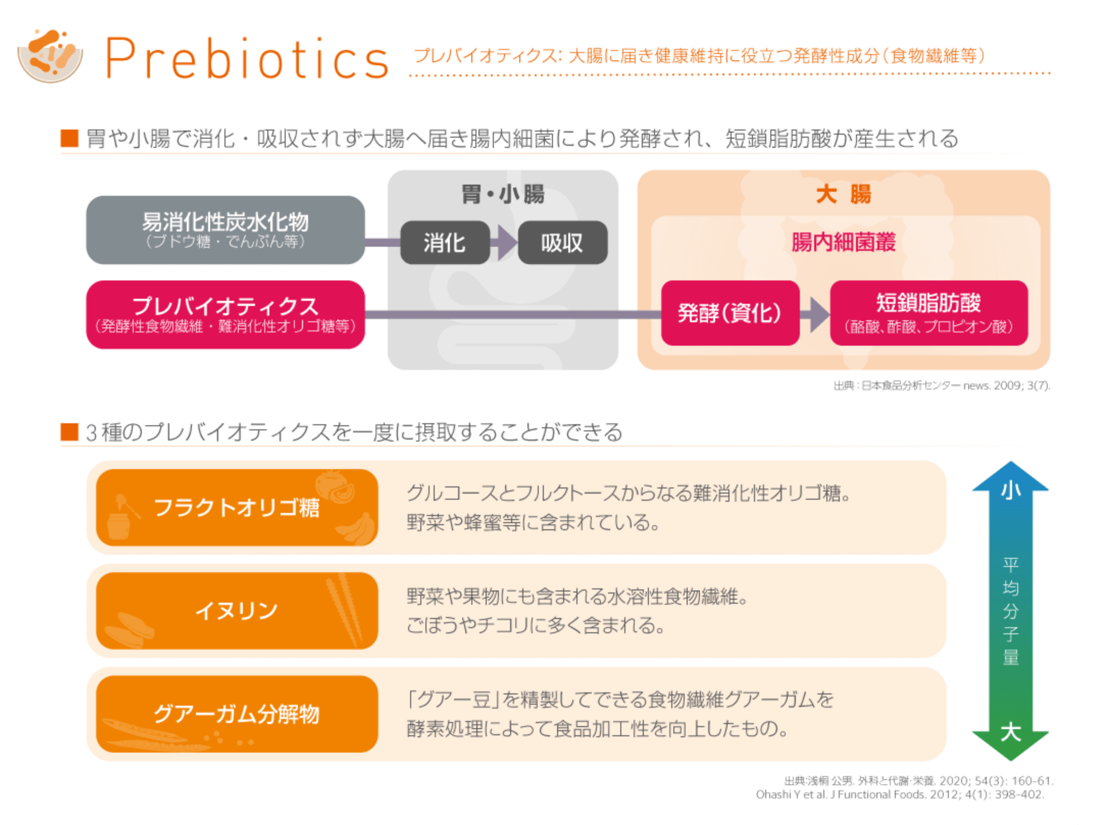 プレバイオティクス：大腸に届き健康維持に役立つ発酵性成分（食物繊維等）