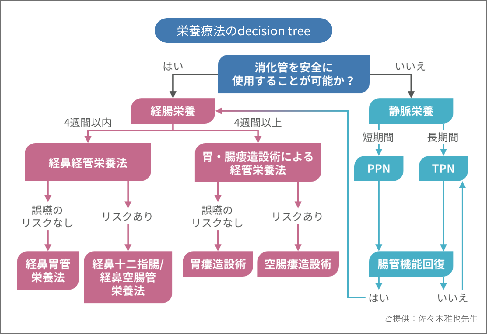 栄養療法のdecision tree